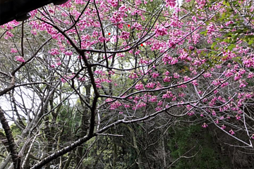 春　3月～5月
